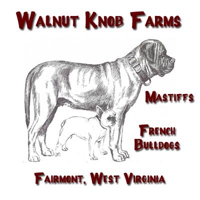 Walnut Knob Farms in Fairmont, West Virginia ~ raising Mastiffs and French Bulldogs
