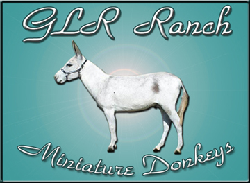 GLR Ranch