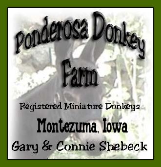 Ponderosa  Donkey Farm in Montezuma, Iowa