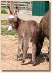 Click photo to enlarge image